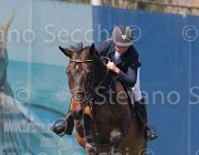 Johansen Lady Catalina TosTour2013- S5 2201 : Arezzo, Arezzo Equestrian Centre, Johansen Ida, LADY CATALINA, Toscana Tour 2013, foto di Stefano Secchi ©